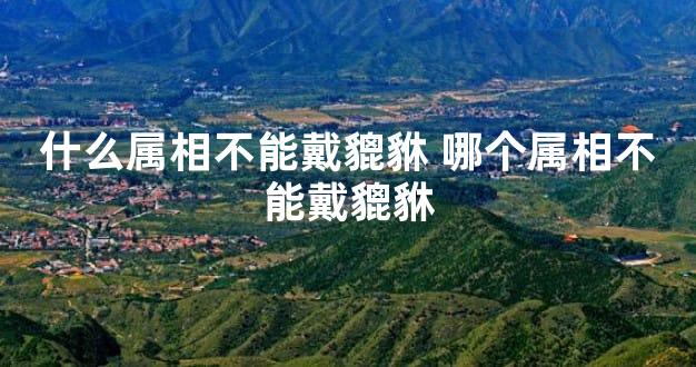什么属相不能戴貔貅 哪个属相不能戴貔貅